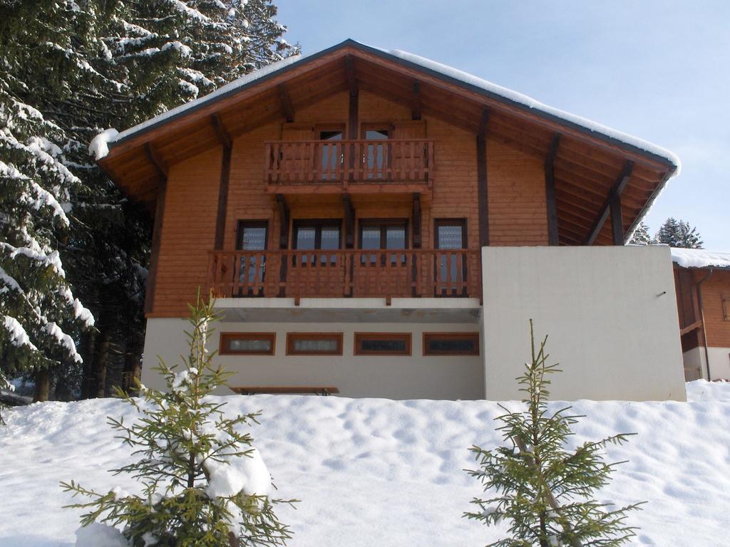 Magnificent Chalet On The Mountain Slopes Les Gets Kültér fotó
