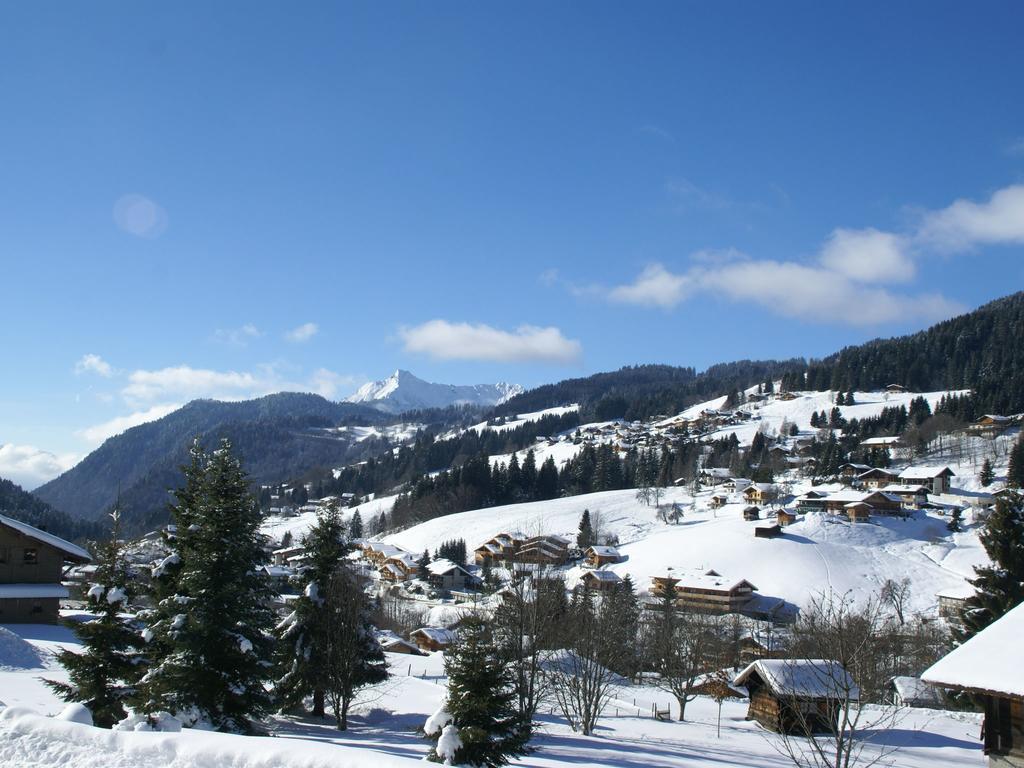 Magnificent Chalet On The Mountain Slopes Les Gets Kültér fotó