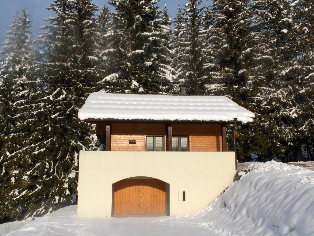 Magnificent Chalet On The Mountain Slopes Les Gets Kültér fotó